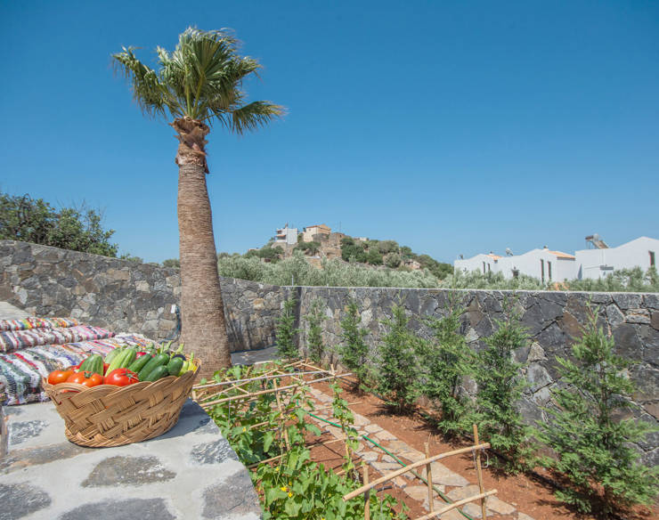 Organic garden at Elounda Naxia Villas with fresh vegetables, palm tree, and stone wall under a clear blue sky